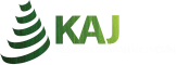 Kajnovin Logo